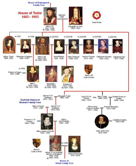 the tudor monarchs|house of tudor family tree.